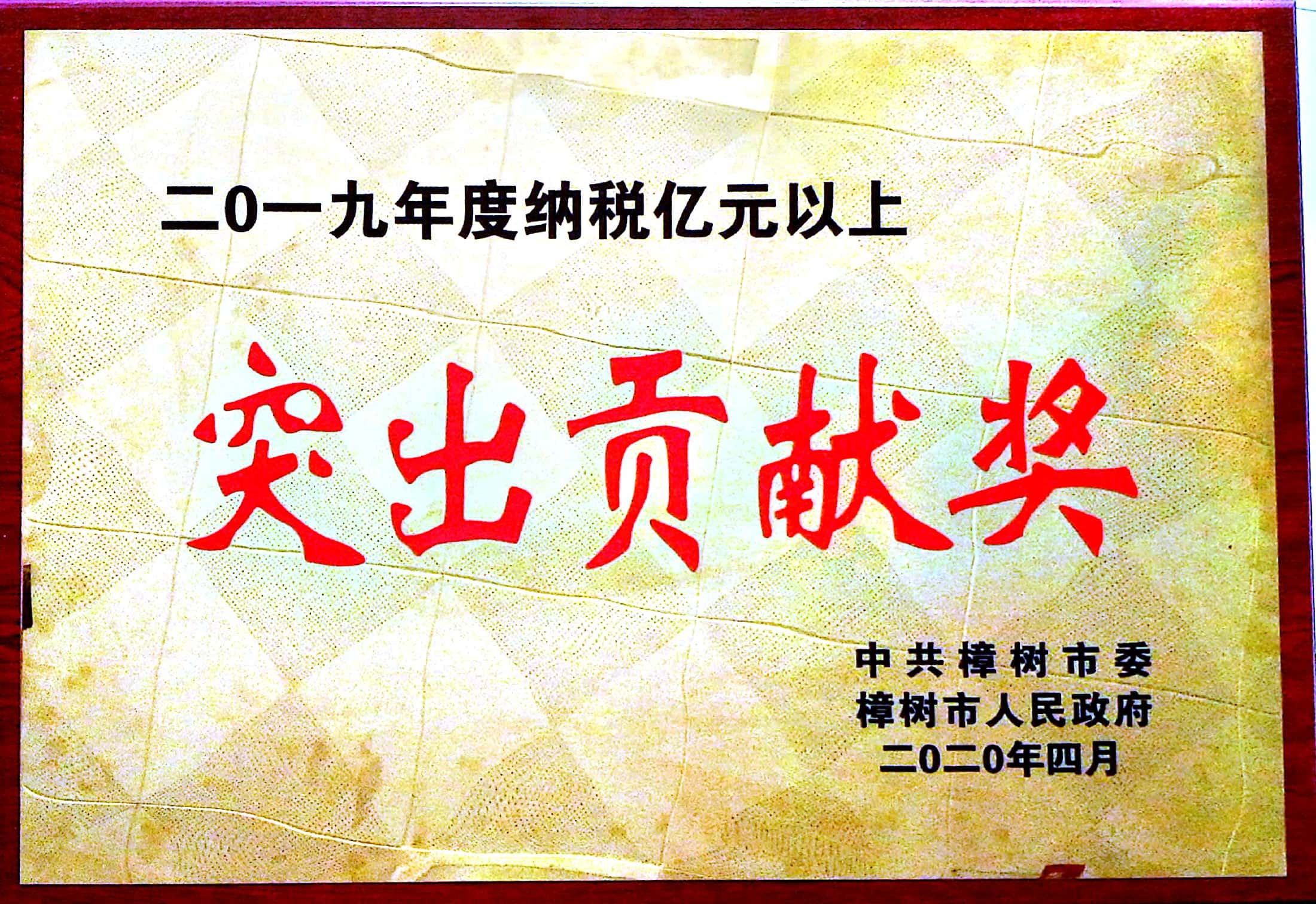 2019年度納稅億元以上 突出貢獻獎